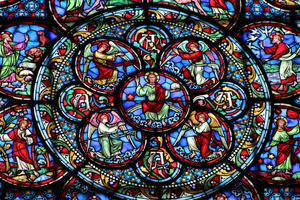 Traitement punaises de lit Chartres